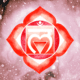 Chakra Raíz Muladhara