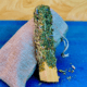 Palo Santo Estudios Exámenes
